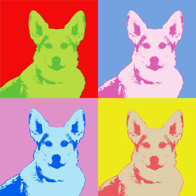 warhol bis kopie