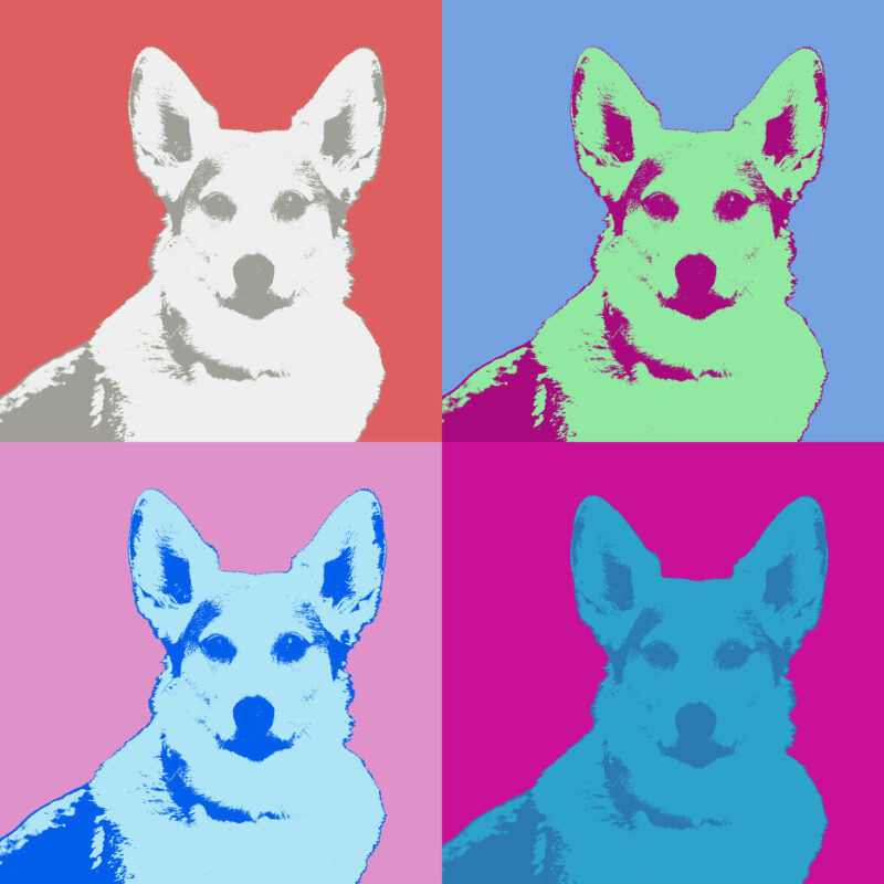 warhol kopie